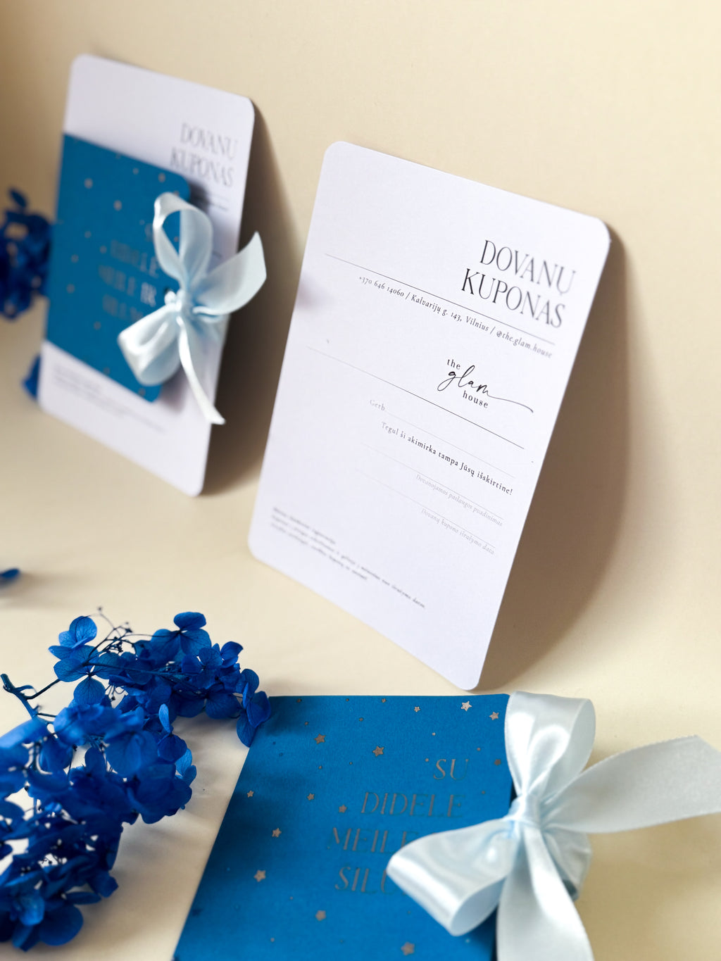 Kalėdiniai dovanų kuponai „SNOW GIFT“