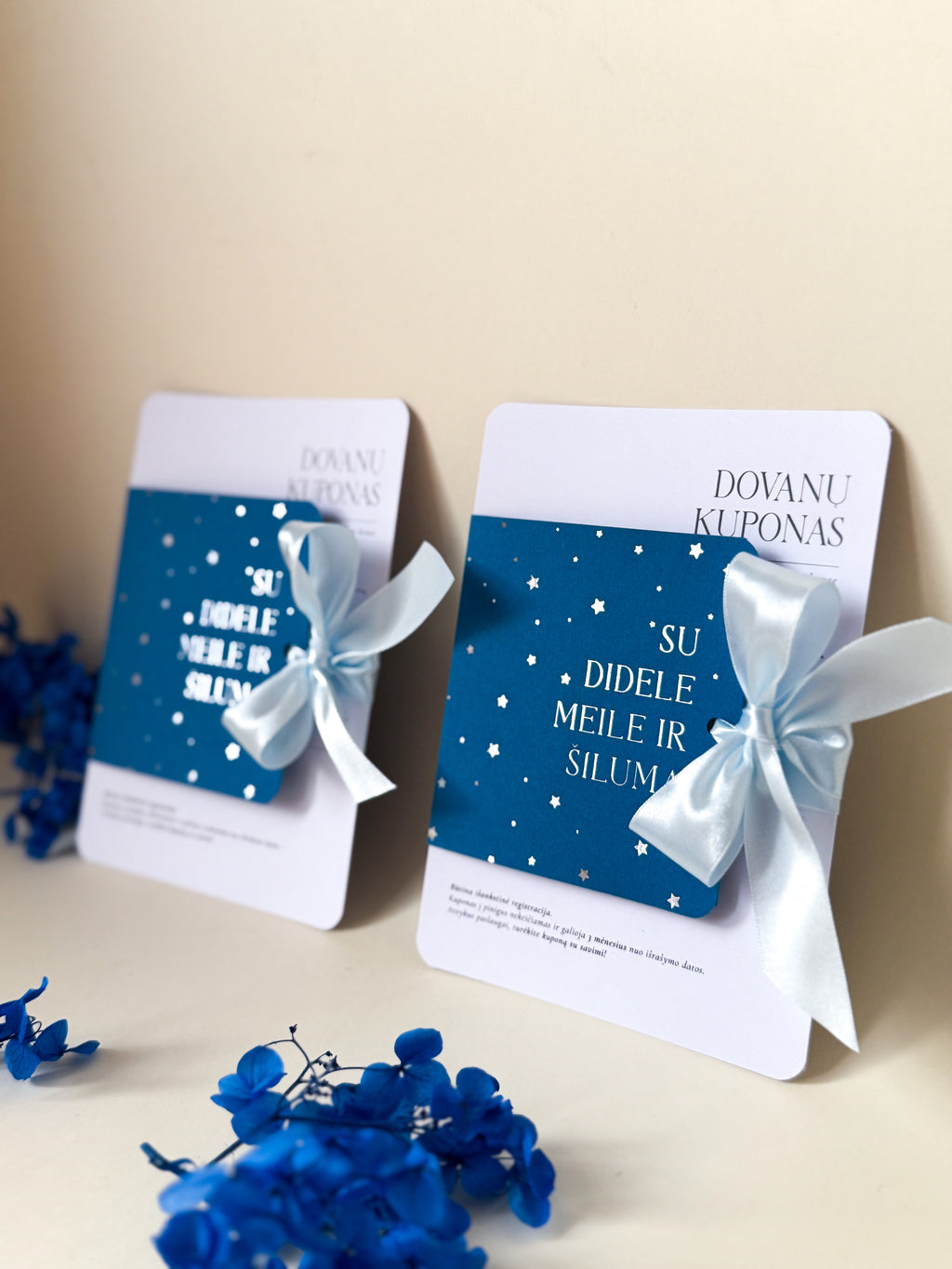 Kalėdiniai dovanų kuponai „SNOW GIFT“