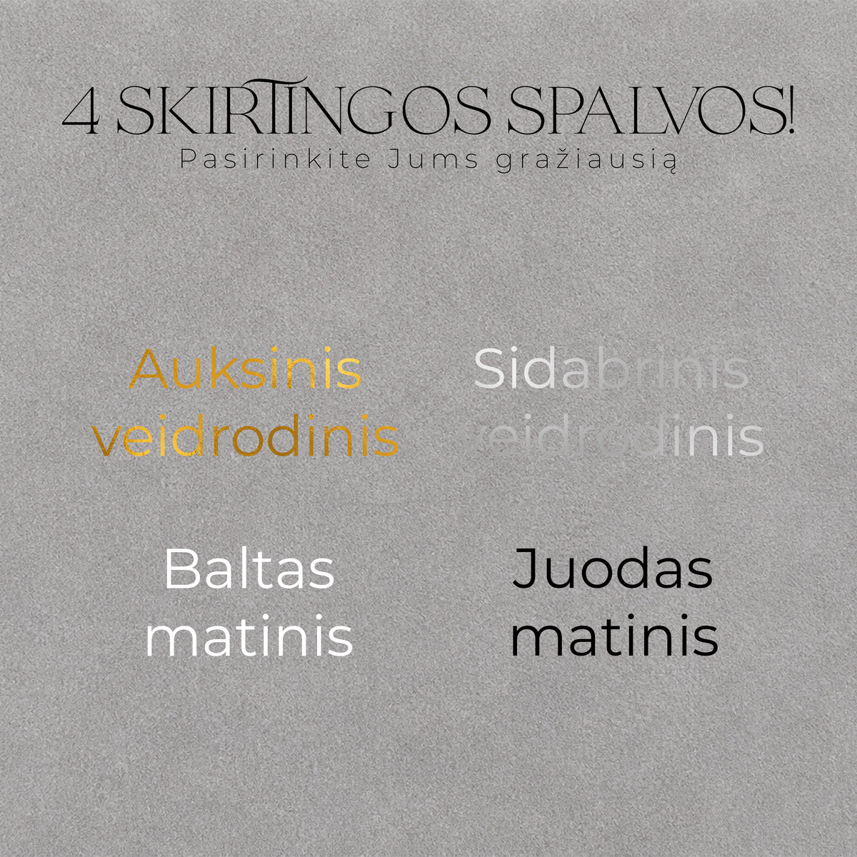 Darbo knyga-kalendorius SILVER